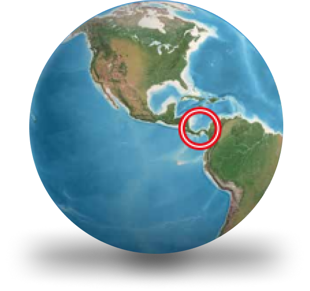 Globe